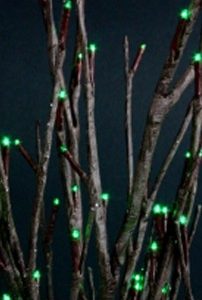 Willow Branch Green LED